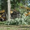Heavy equipment was required to begin the process of removing many of the trees to allow for the trenching required for the new power, water, and sewer upgrades.